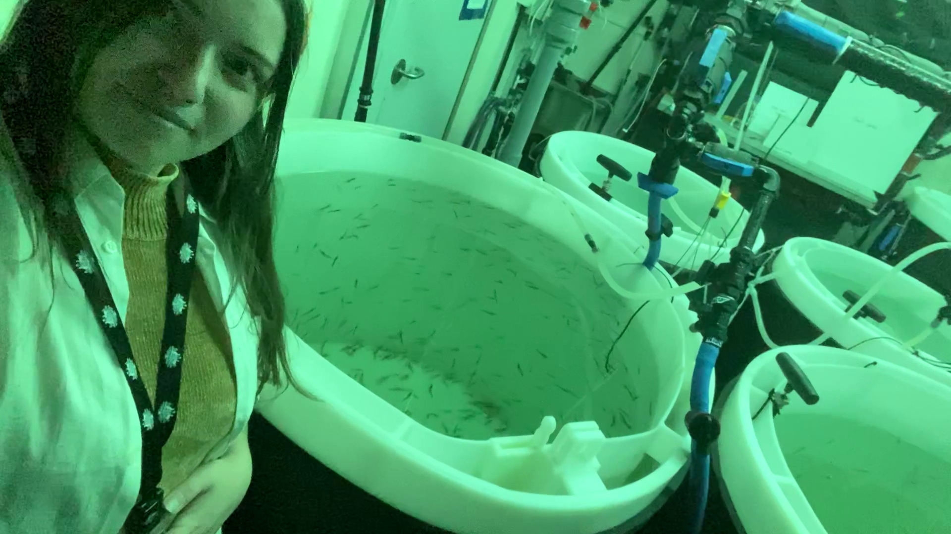 Australian Antarctic Division Krill poo experiment!