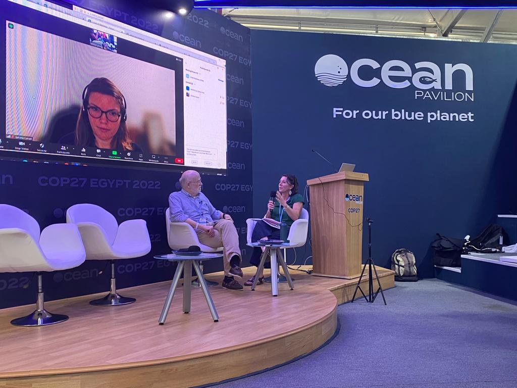 COP27 event panel member